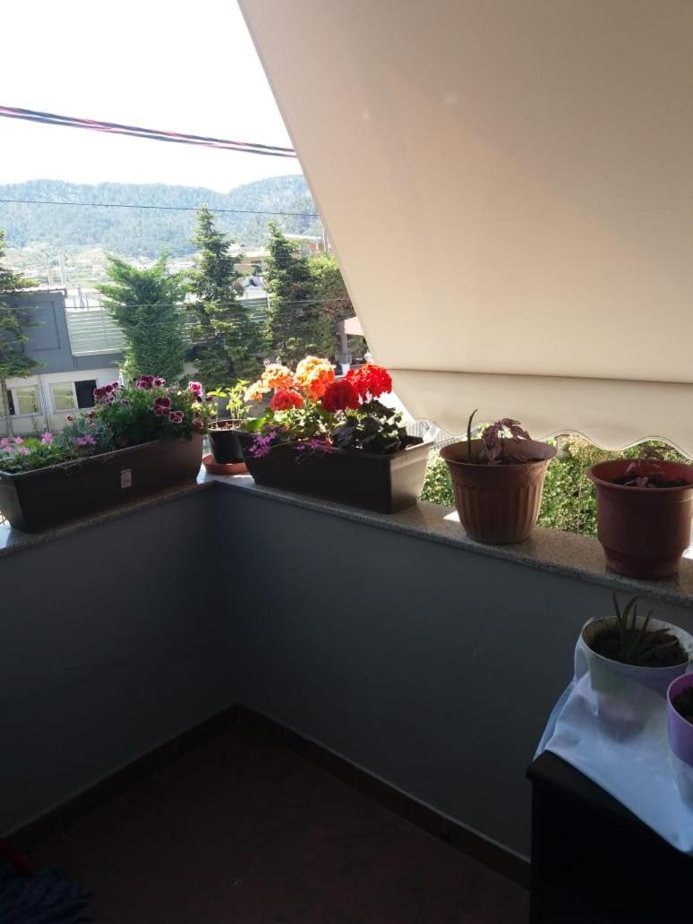 Luander Hotel Tiranë Phòng bức ảnh